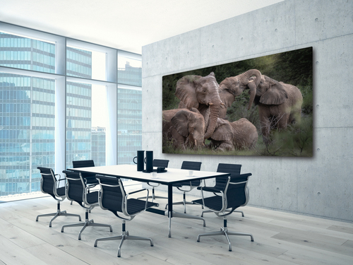 <b>Enhance Your Office Aesthetics with Satin White Metal Art Prints</b>